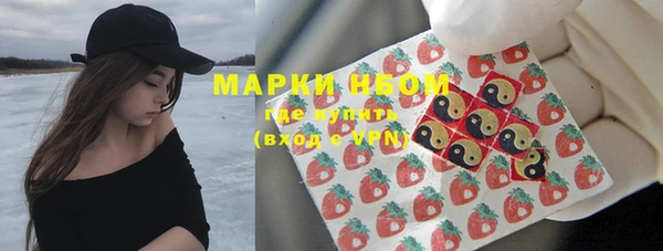 соль ск Богородск
