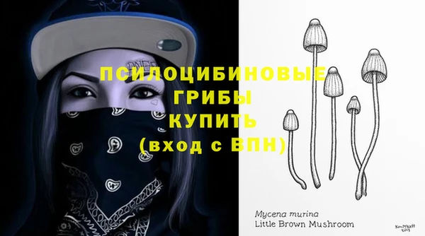 мдма Бородино