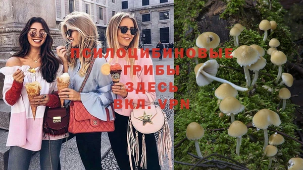 PSILOCYBIN Бронницы