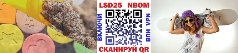 блэк спрут онион  наркота  Коряжма  Лсд 25 экстази кислота 
