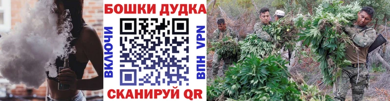 как найти закладки  Коряжма  маркетплейс телеграм  Шишки марихуана Amnesia 